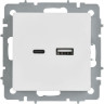 Розетка USB IEK BRITE BR-U22-018-K01 BR-U22-018-K91